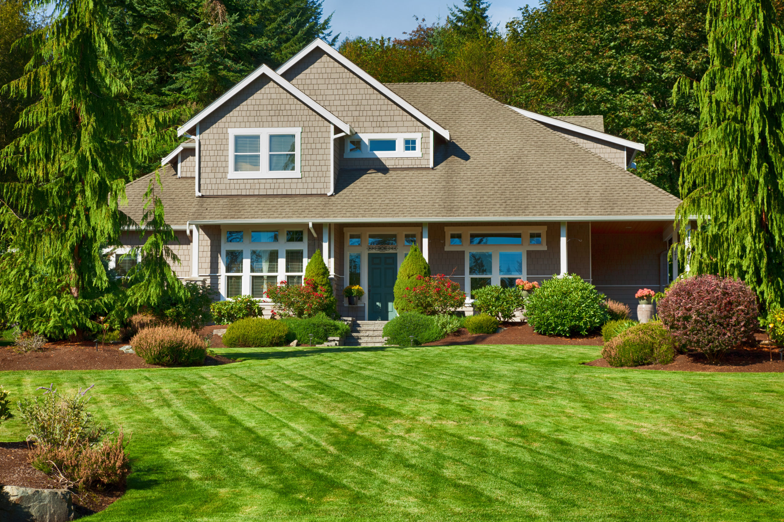 Enhance Your Lawn's Appeal Wit